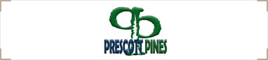 Prescott Pines Camp（アメリカ　アリゾナ州）